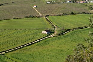 田园风光中的小屋与铁轨