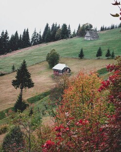 田园山坡间的多彩景致
