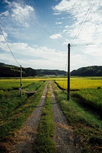 乡间田野小路风景