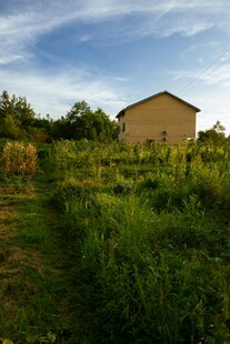 田园小屋旁的葱郁绿植