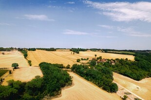 沙漠中的绿色植被景观