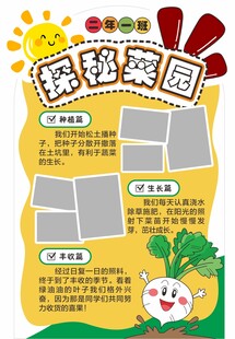 菜园宣传图片