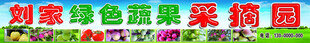 绿色蔬菜采摘园