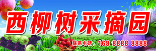 采摘园