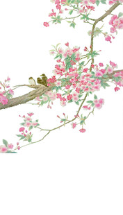 花鸟背景合层图