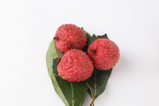 荔枝