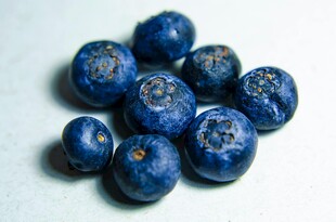 新鲜饱满的蓝莓果实