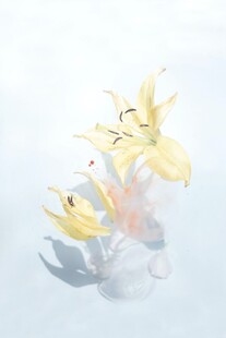 透明花瓶中的黄色百合花