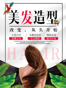 美发造型广告海报展示