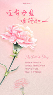 温馨康乃馨传递母爱