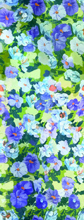 蓝紫花卉特写