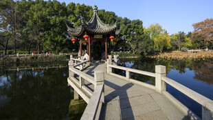 中式桥亭映于湖畔美景