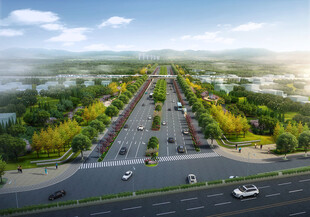 宽阔公路两旁绿树成荫
