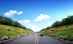 乡间公路美景