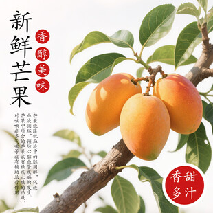 芒果主图模版
