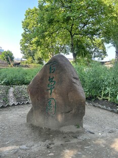 百草园
