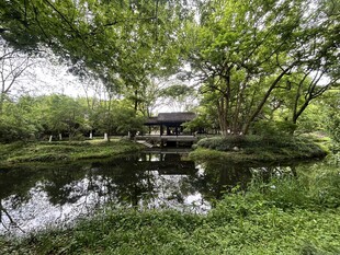 赵公堤