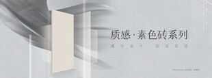 简约白  质感素色系砖