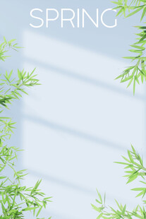 照片前背景