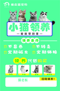 小猫饲养指南