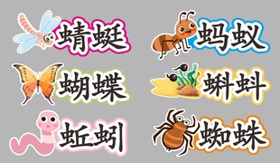 多种昆虫有趣小动物