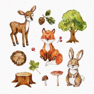 森林小动物与自然元素插画