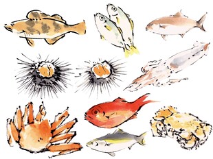 海洋生物水彩插画集合