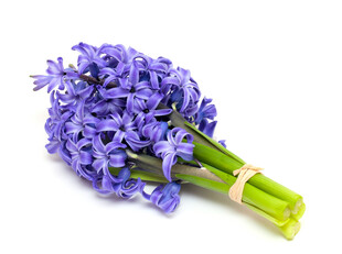 紫色风信子花束