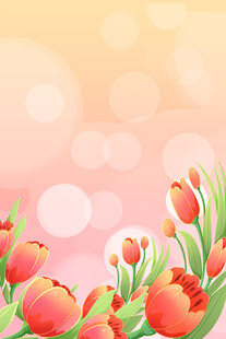 粉色背景上的美丽郁金香