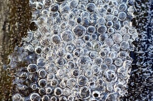 晶莹剔透的气泡特写