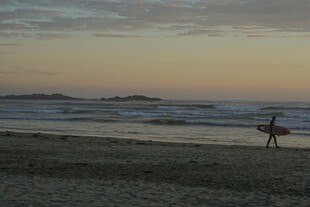 黄昏海滩上的冲浪者归来