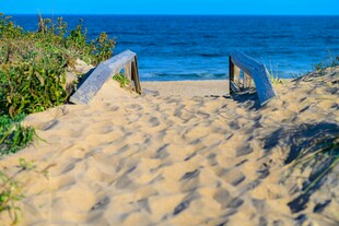 海边沙径通往蔚蓝大海