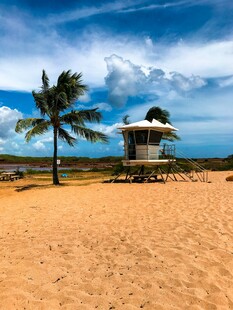 美丽沙滩上的椰树与凉亭