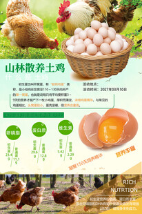 农家土鸡蛋宣传海报