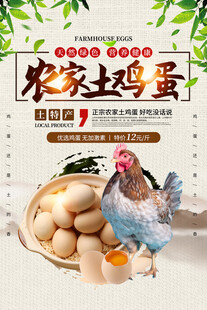 农家土鸡蛋宣传海报