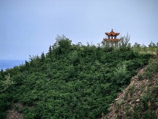山顶古亭隐于葱郁绿植间