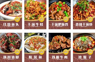 多样美味中式菜肴展示