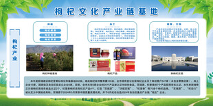 枸杞文化产业链基地
