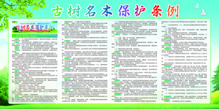 古树名木保护案例