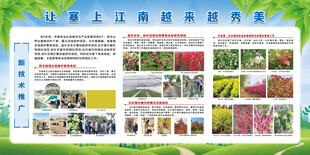 花卉技术推广宣传展板