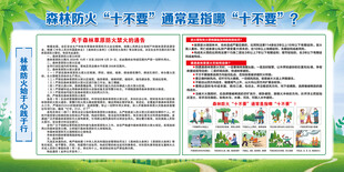 森林防火十不要