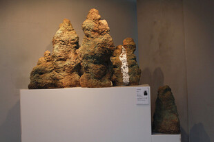 精美奇石展示于展台上