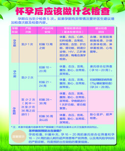 怀孕后该做什么检查表