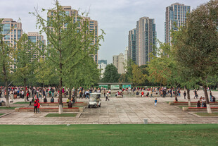城市公园中的活动场景