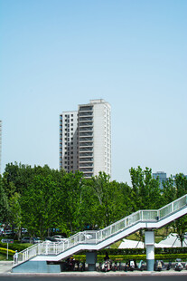 城市中绿树旁的现代桥梁