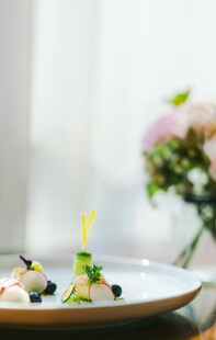 精致摆盘的美味创意菜肴