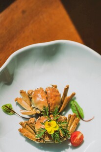 精致摆盘的美味螃蟹料理