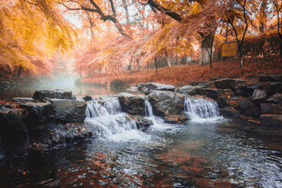 秋日溪流美景