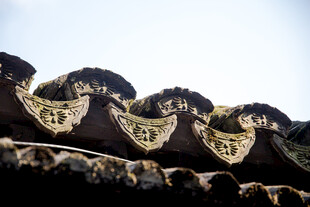 中式古建瓦当特写