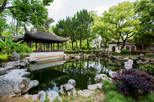 中式园林池塘景致